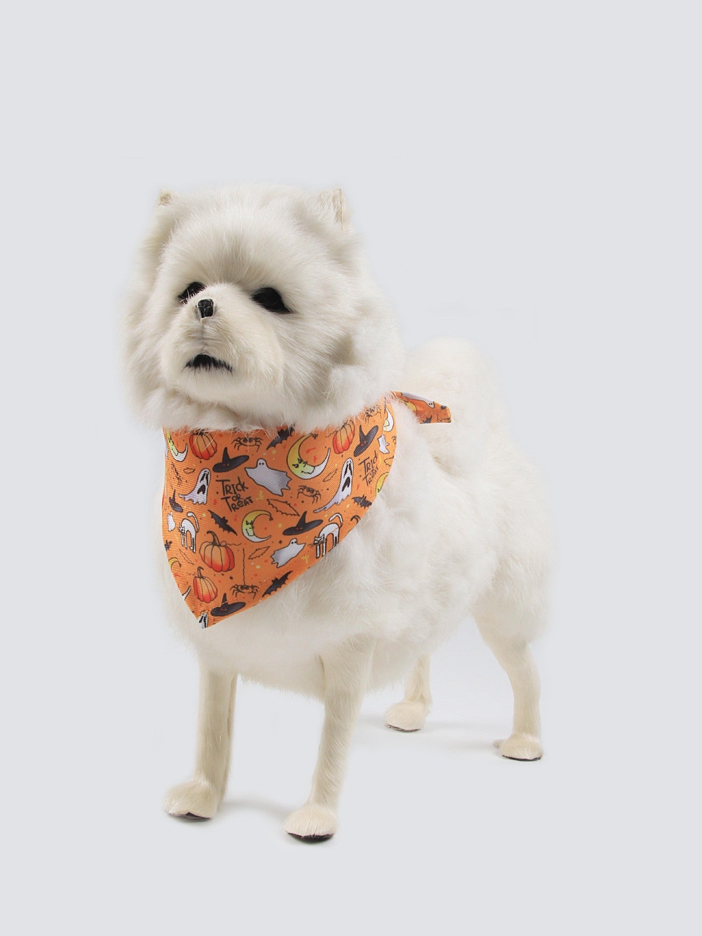 Halloween Fleece-Line Clothes – Pet Apparel