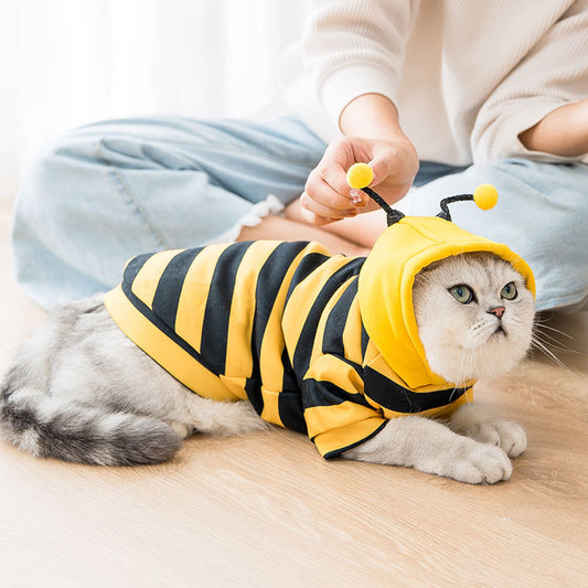 Cute Bee Sweater – Pet Clothes for Dogs and Cats