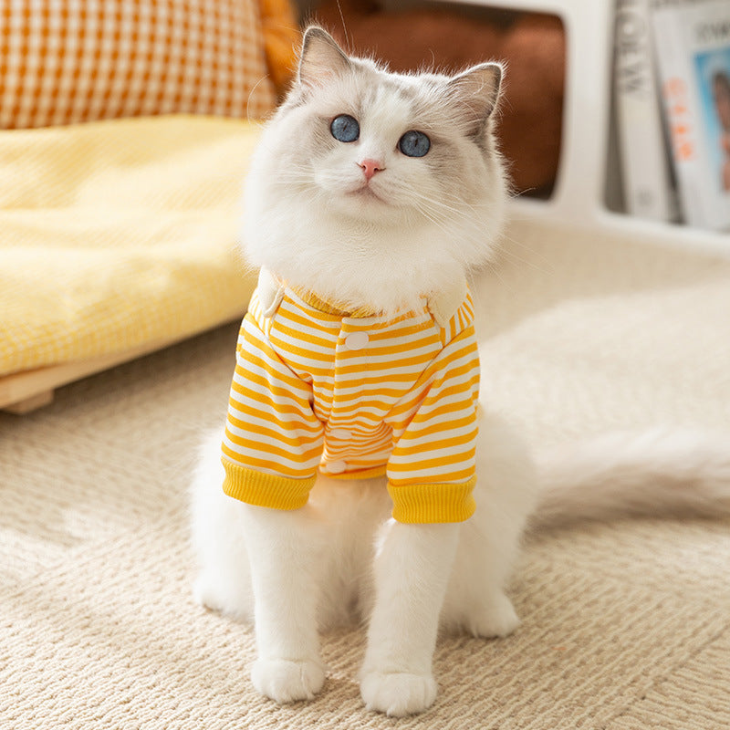 Fashionable Cat Sweater – Lightweight Patterned Design