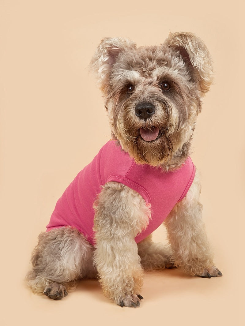 Dog Vest with Necklace – Stylish Pet Apparel