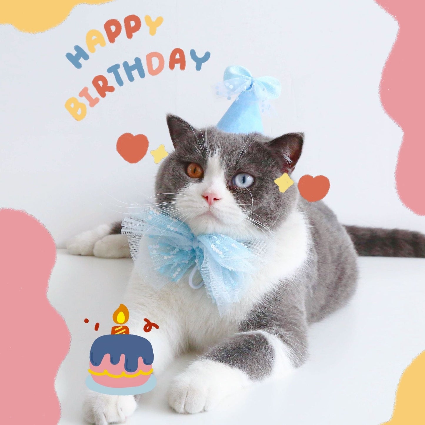 Cat Birthday Party Set – Hat, Bow Tie & Flower Suit