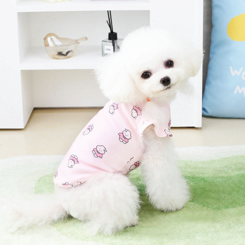 New Dog Clothing – Pet Décor