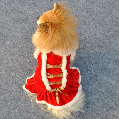 Pet Clothing – Classic Red Skirt for New Year & Christmas