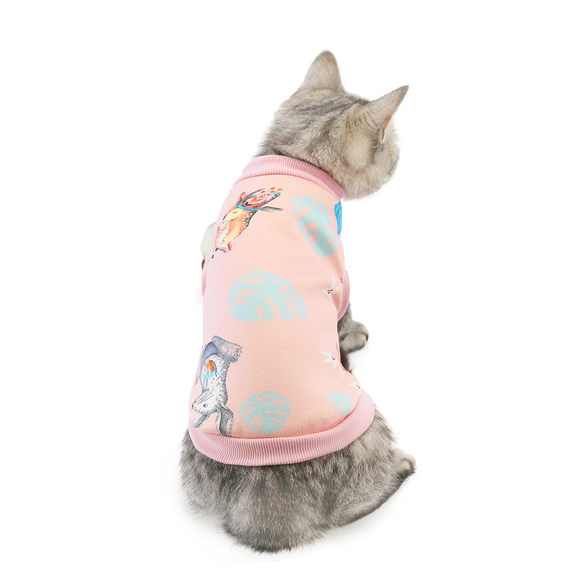 Cat Clothes – Multiple Designs: Dinosaur, Deer, Avocado, Smile, & Lollipop