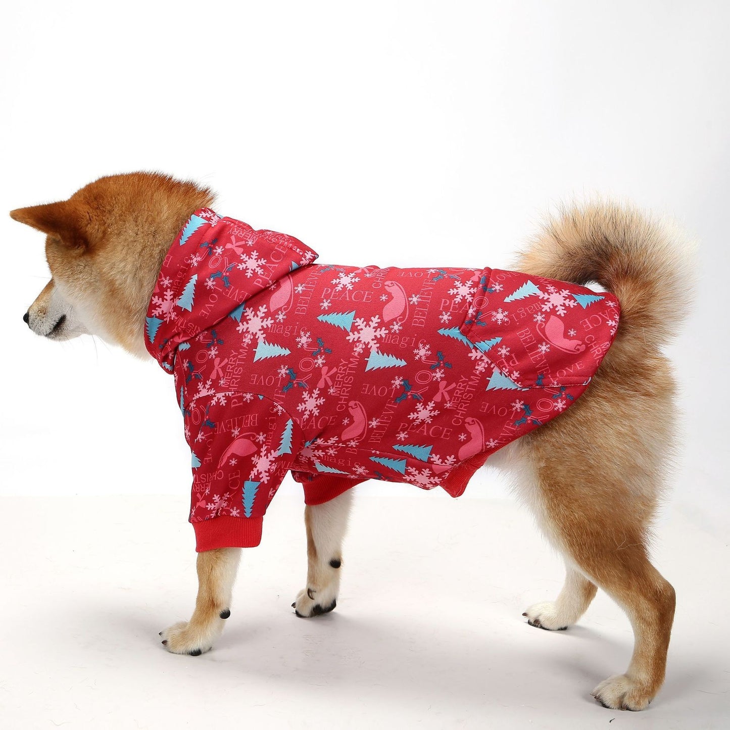 Warm & Creative Holiday Dog Clothing – Perfect for Festive Seasons