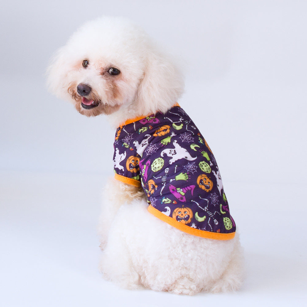 Bichon Hiromi Pet Clothes – Stylish Apparel for Cats & Small Dogs