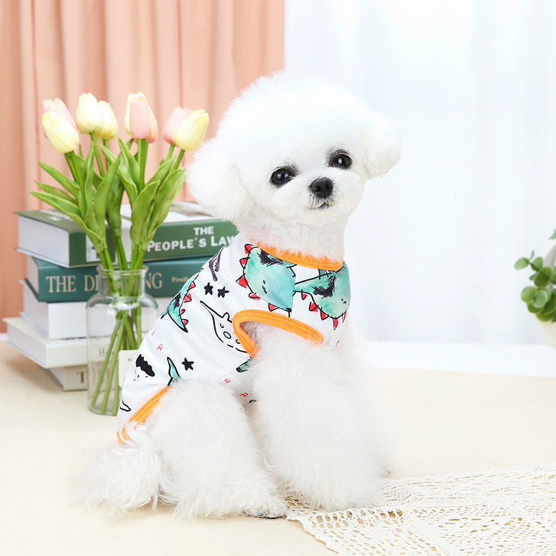 Pet Costume – Stylish Apparel for Pets