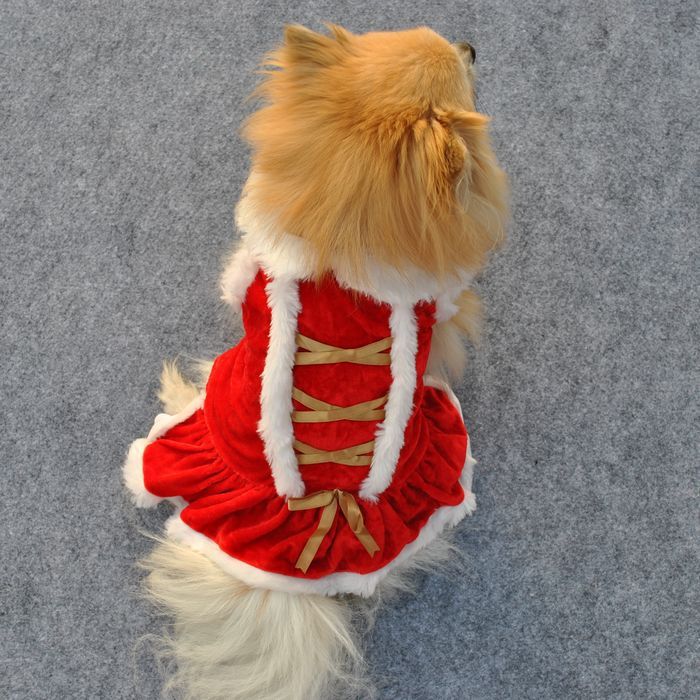 Pet Clothing – Classic Red Skirt for New Year & Christmas