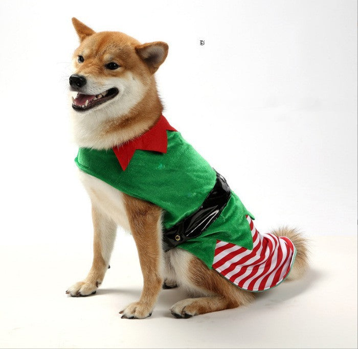 Warm & Creative Holiday Dog Clothing – Perfect for Festive Seasons