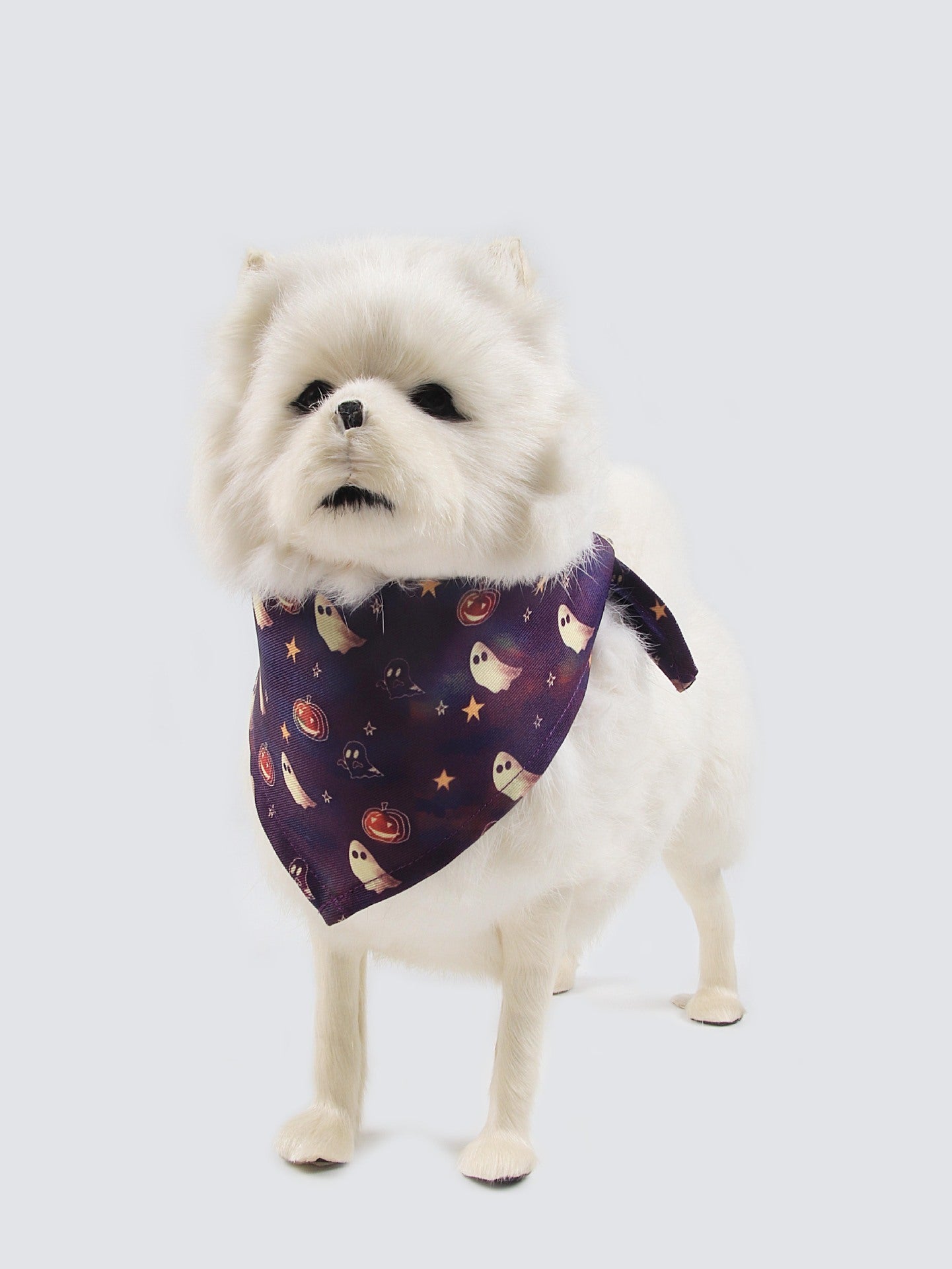 Halloween Fleece-Line Clothes – Pet Apparel