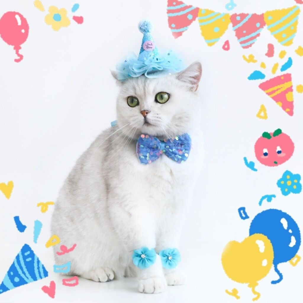 Cat Birthday Party Set – Hat, Bow Tie & Flower Suit