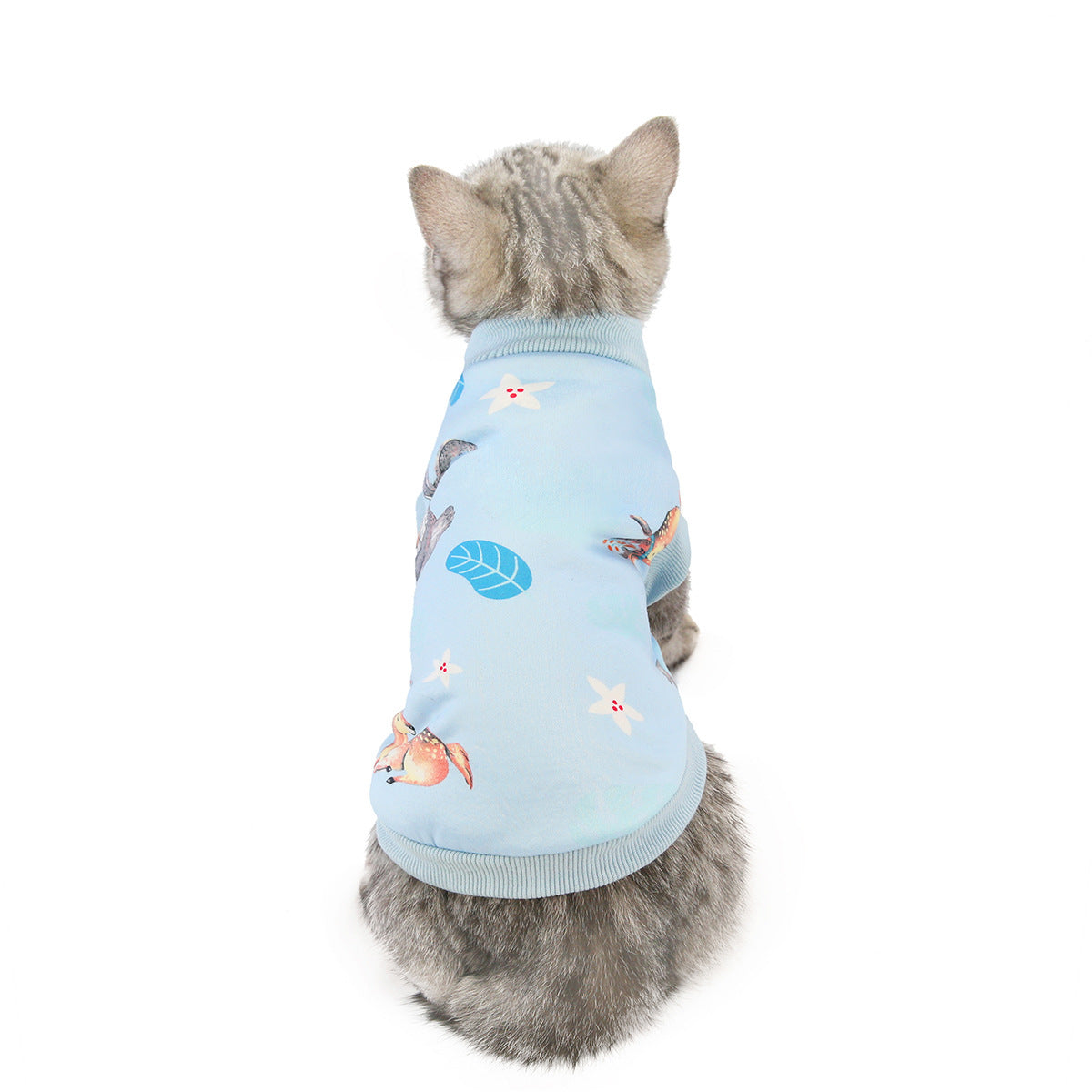 Cat Clothes – Multiple Designs: Dinosaur, Deer, Avocado, Smile, & Lollipop