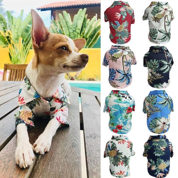 Dog & Cat Spring/Summer Shirt – Thin Corgi Blue Design