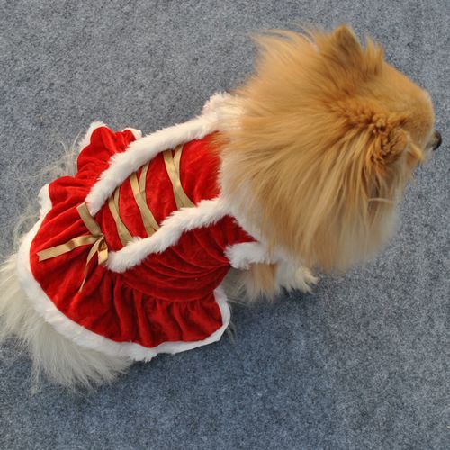 Pet Clothing – Classic Red Skirt for New Year & Christmas