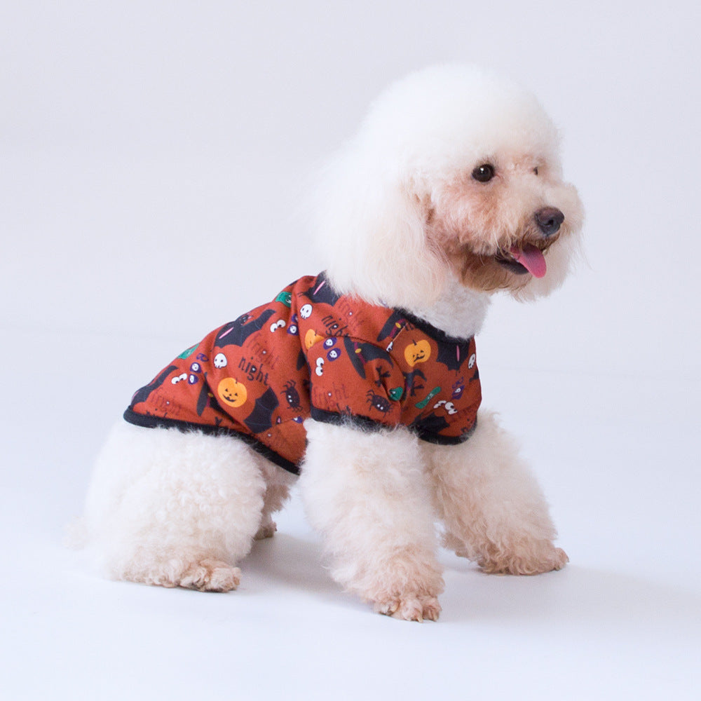 Bichon Hiromi Pet Clothes – Stylish Apparel for Cats & Small Dogs