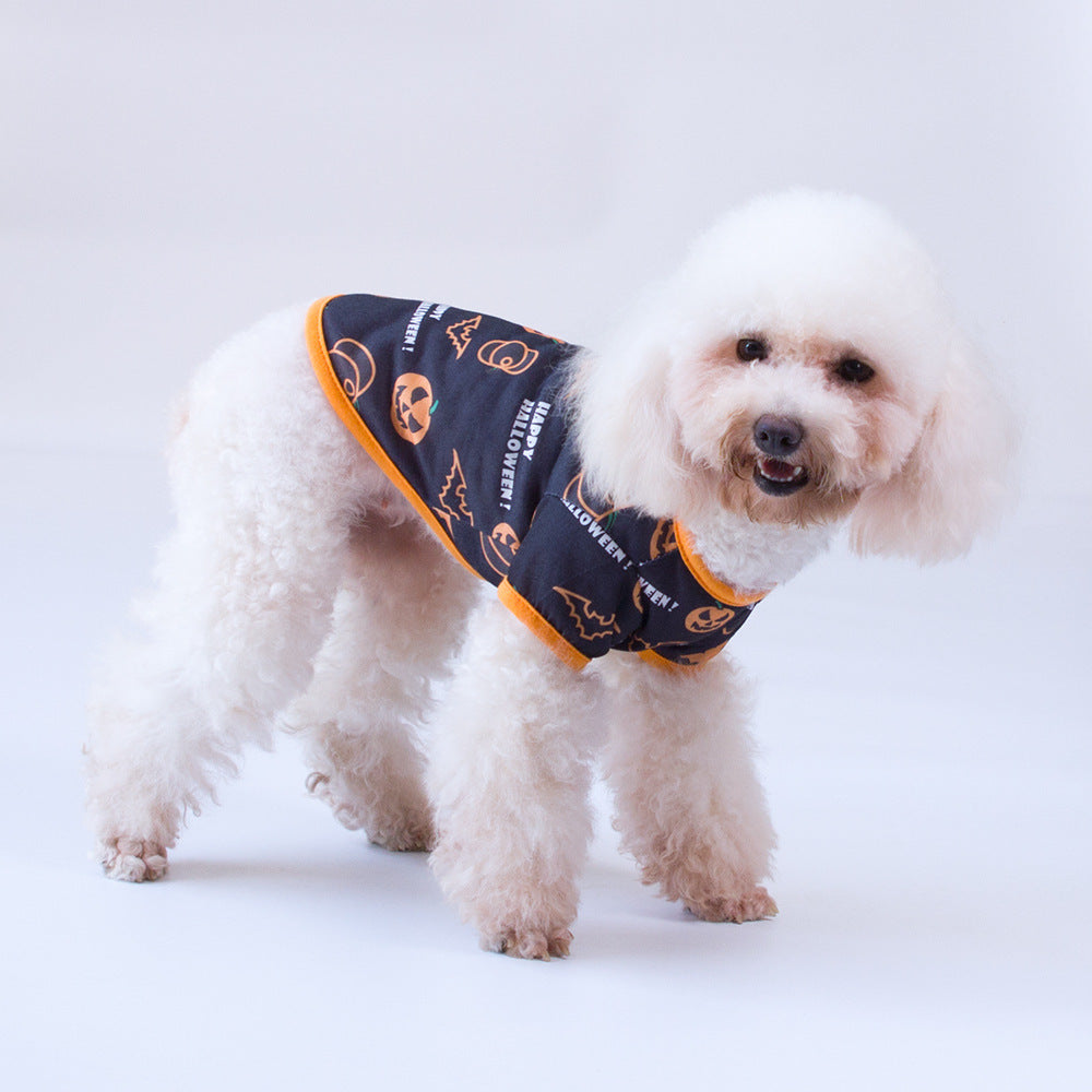 Bichon Hiromi Pet Clothes – Stylish Apparel for Cats & Small Dogs